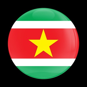 Magnetic Car Grille Dome Badge-Flag Suriname