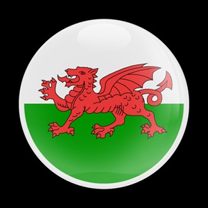 Magnetic Car Grille Dome Badge-Flag Wales