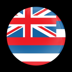 Magnetic Car Grille Dome Badge-Flag Hawaii