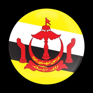 Magnetic Car Grille Dome Badge-Flag Brunei