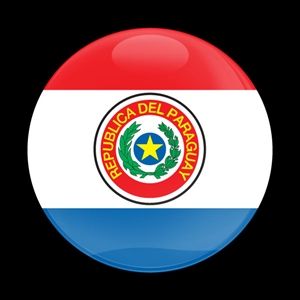 Magnetic Car Grille Dome Badge-Flag Paraguay