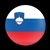 FLAG SLOVENIAN